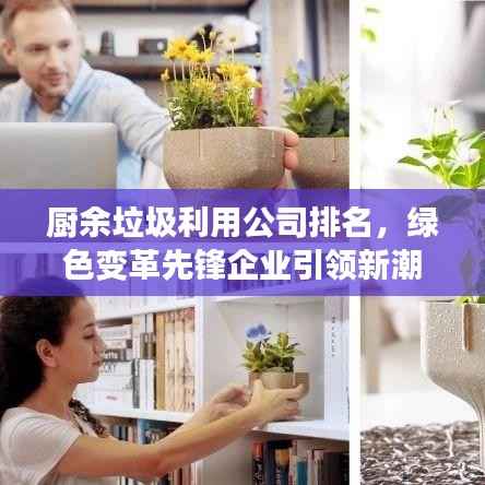 厨余垃圾利用公司排名,绿色变革先锋企业引领新潮流