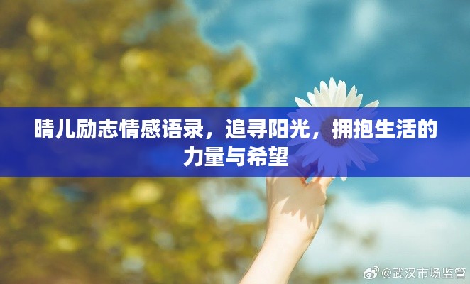 晴儿励志情感语录，追寻阳光，拥抱生活的力量与希望