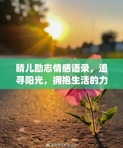 晴儿励志情感语录,追寻阳光,拥抱生活的力量与希望