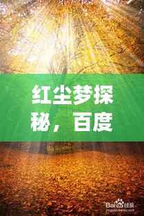 红尘梦探秘,百度带你领略世间百态