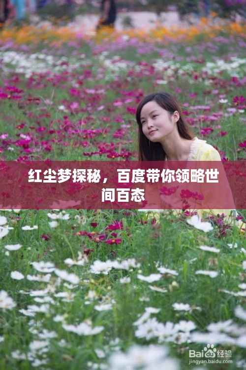 红尘梦探秘,百度带你领略世间百态