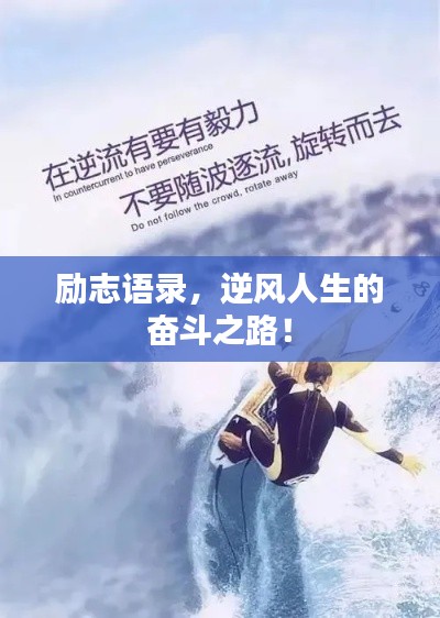 励志语录,逆风人生的奋斗之路!