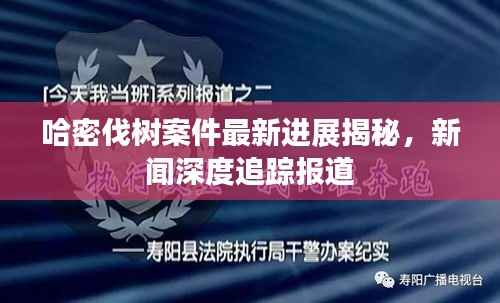 哈密伐树案件最新进展揭秘，新闻深度追踪报道