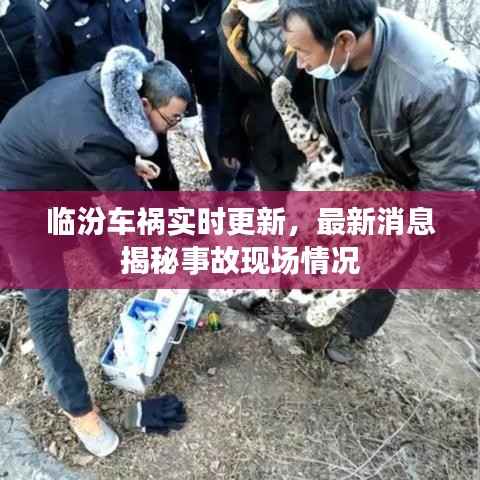 临汾车祸实时更新,最新消息揭秘事故现场情况