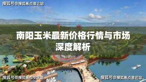 南阳玉米最新价格行情与市场深度解析