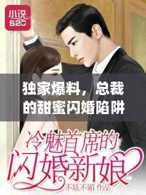 独家爆料,总裁的甜蜜闪婚陷阱!
