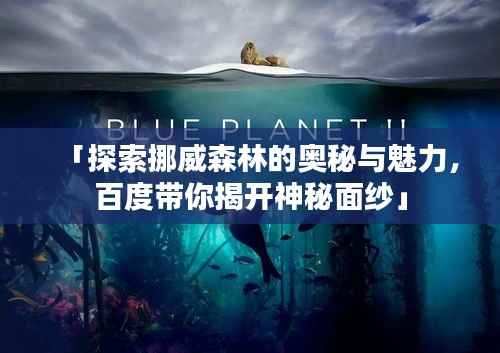 「探索挪威森林的奥秘与魅力，百度带你揭开神秘面纱」