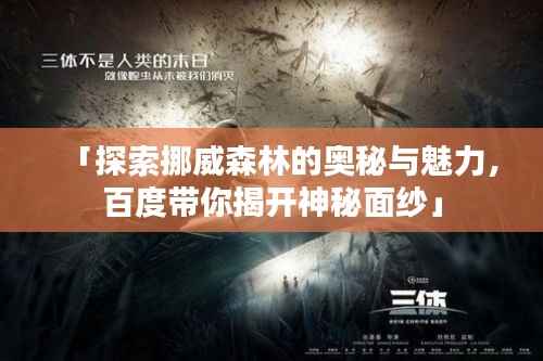 「探索挪威森林的奥秘与魅力,百度带你揭开神秘面纱」