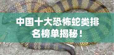 中国十大恐怖蛇类排名榜单揭秘!