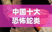 中国十大恐怖蛇类排名榜单揭秘!