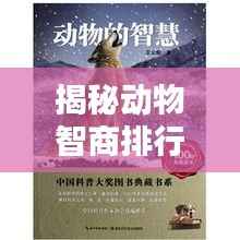 揭秘动物智商排行榜，探寻智慧生物背后的秘密