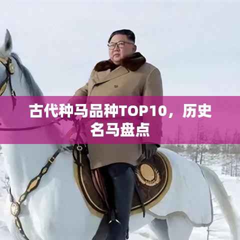 古代种马品种TOP10,历史名马盘点