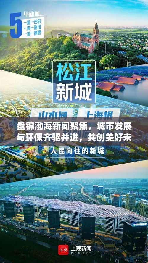 盘锦渤海新闻聚焦,城市发展与环保齐驱并进,共创美好未来