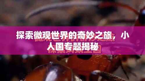 鸟集鳞萃 第3页