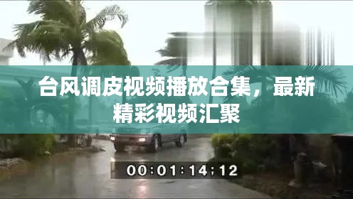 台风调皮视频播放合集,最新精彩视频汇聚