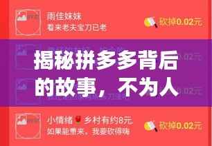 揭秘拼多多背后的故事，不为人知的成长历程