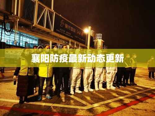 襄阳防疫最新动态更新