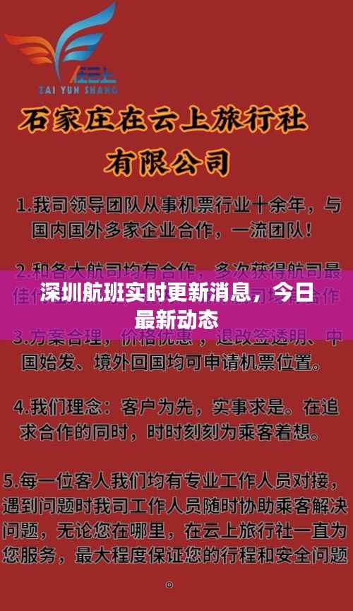 深圳航班实时更新消息,今日最新动态