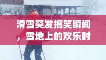 滑雪突发搞笑瞬间,雪地上的欢乐时光不容错过!