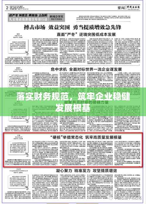 落实财务规范,筑牢企业稳健发展根基
