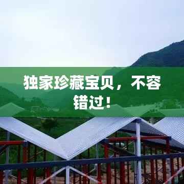 观往知来 第4页