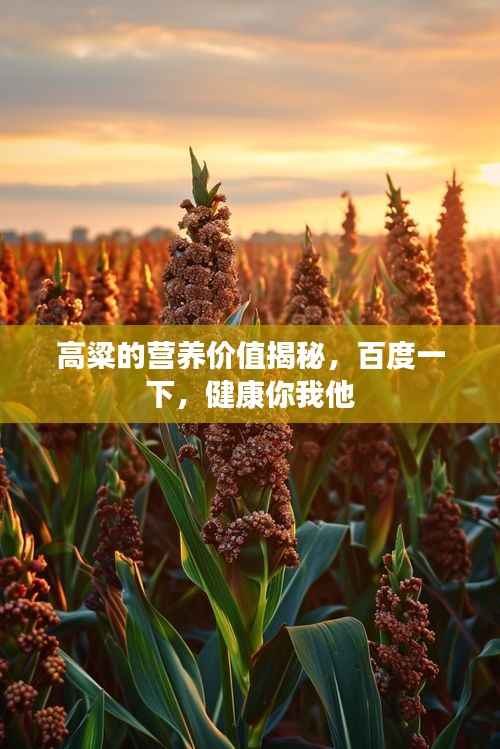 高粱的营养价值揭秘，百度一下，健康你我他