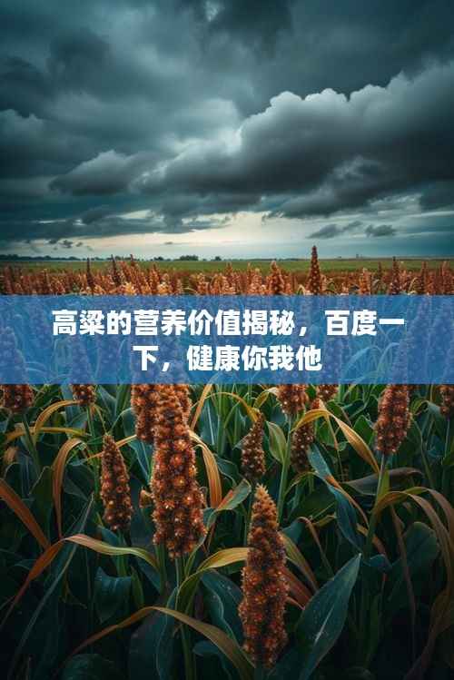 高粱的营养价值揭秘,百度一下,健康你我他