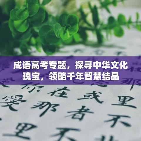成语高考专题,探寻中华文化瑰宝,领略千年智慧结晶