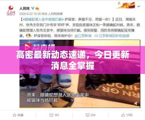 高密最新动态速递,今日更新消息全掌握