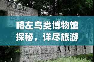 喀左鸟类博物馆探秘,详尽旅游攻略指南