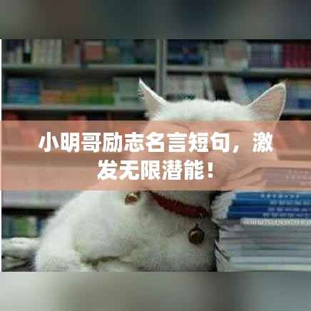 小明哥励志名言短句,激发无限潜能!