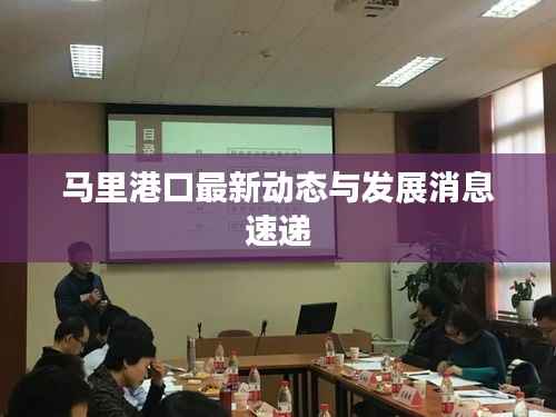 马里港口最新动态与发展消息速递