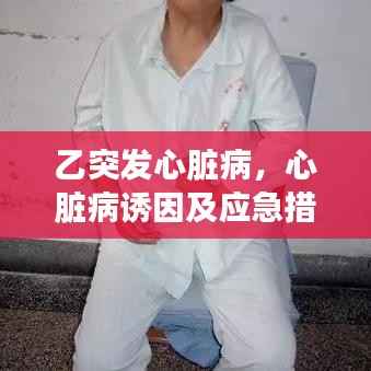乙突发心脏病,心脏病诱因及应急措施全解析