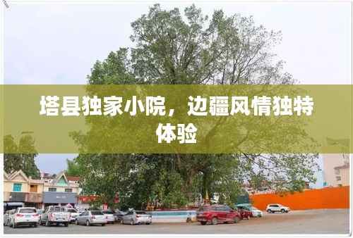 还醇返朴 第4页