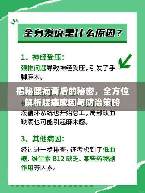 揭秘腰痛背后的秘密,全方位解析腰痛成因与防治策略