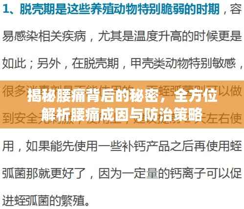 揭秘腰痛背后的秘密,全方位解析腰痛成因与防治策略