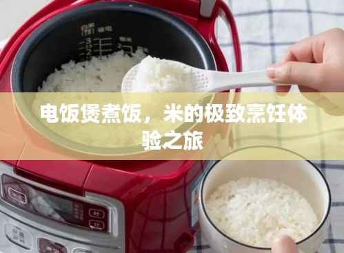 电饭煲煮饭,米的极致烹饪体验之旅