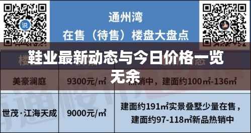 鞋业最新动态与今日价格一览无余