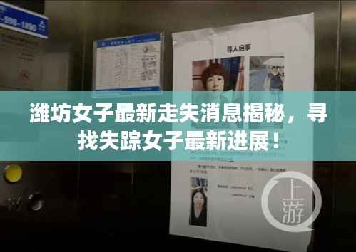 潍坊女子最新走失消息揭秘,寻找失踪女子最新进展!