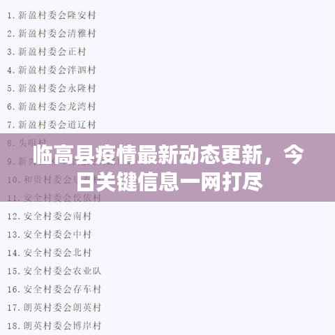 临高县疫情最新动态更新，今日关键信息一网打尽