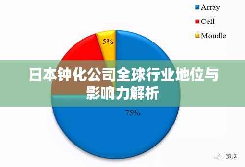 日本钟化公司全球行业地位与影响力解析