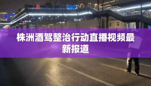 株洲酒驾整治行动直播视频最新报道