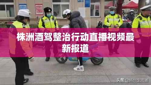 株洲酒驾整治行动直播视频最新报道