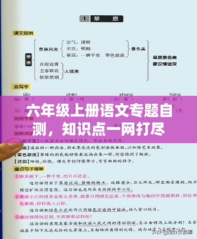 六年级上册语文专题自测,知识点一网打尽