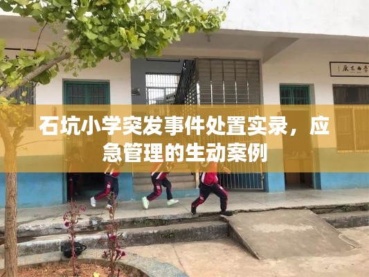 石坑小学突发事件处置实录,应急管理的生动案例