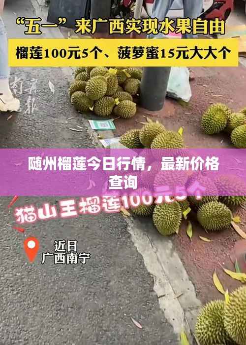 随州榴莲今日行情,最新价格查询