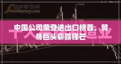 中国公司荣登进出口榜首,贸易巨头崭露锋芒