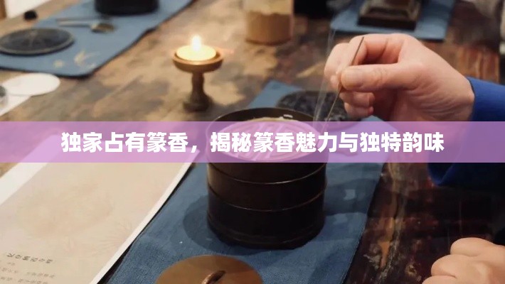 独家占有篆香,揭秘篆香魅力与独特韵味
