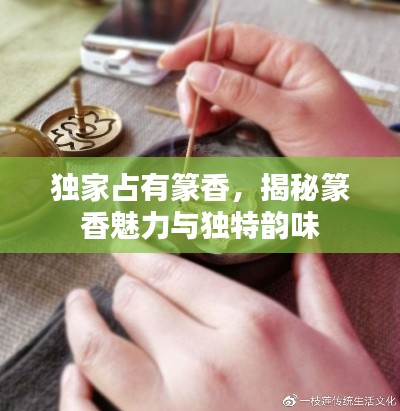 独家占有篆香,揭秘篆香魅力与独特韵味