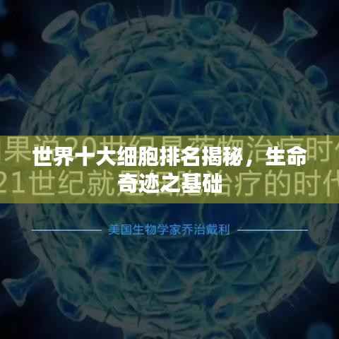 世界十大细胞排名揭秘，生命奇迹之基础